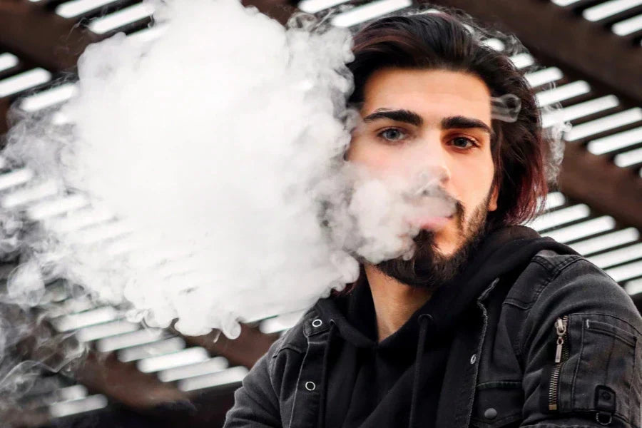 PAX Flow, Mini or Plus: Which Dry Herb Vape Is Best?